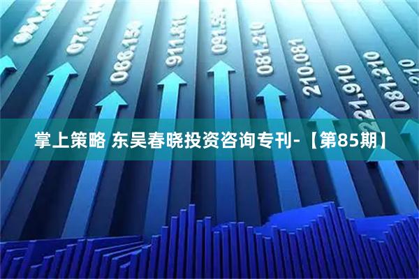 掌上策略 东吴春晓投资咨询专刊-【第85期】