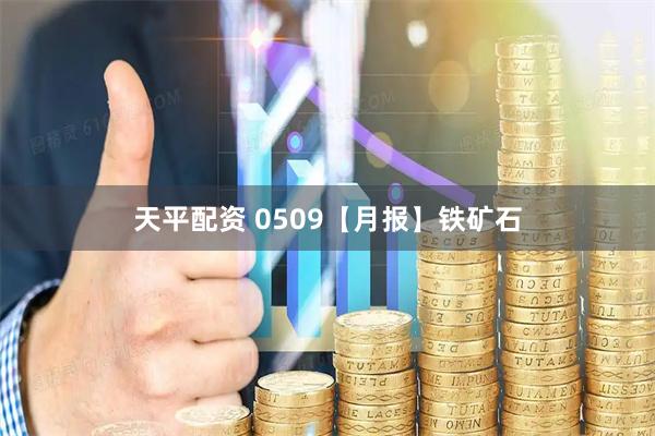 天平配资 0509【月报】铁矿石