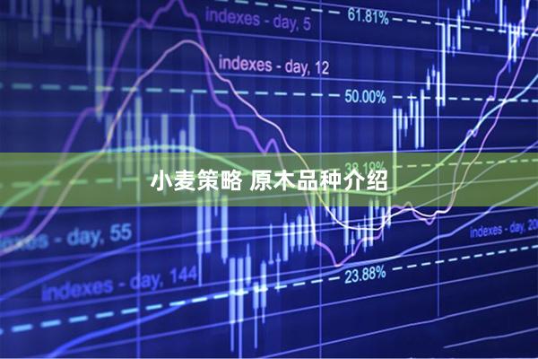 小麦策略 原木品种介绍