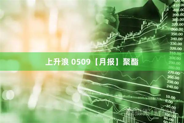 上升浪 0509【月报】聚酯