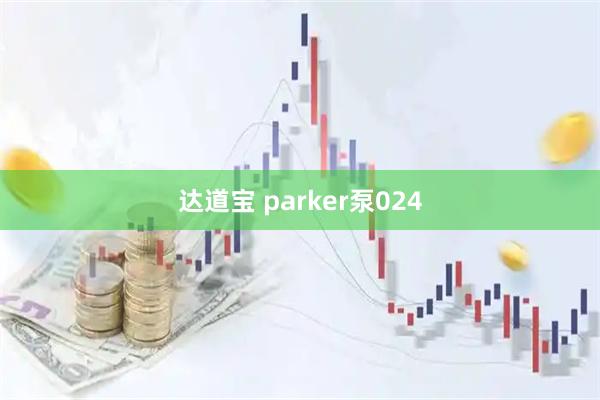 达道宝 parker泵024
